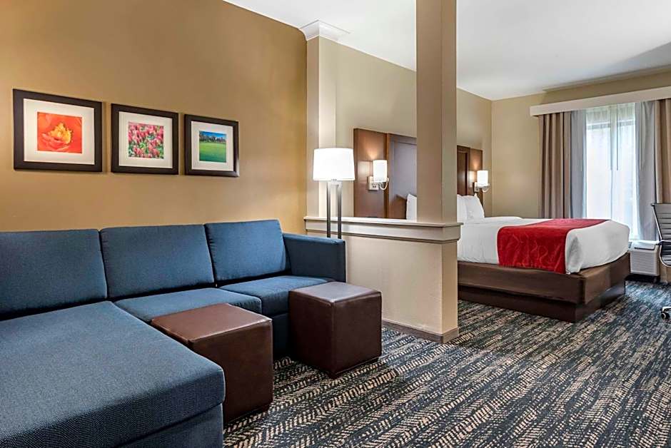 Comfort Inn & Suites Downtown near University