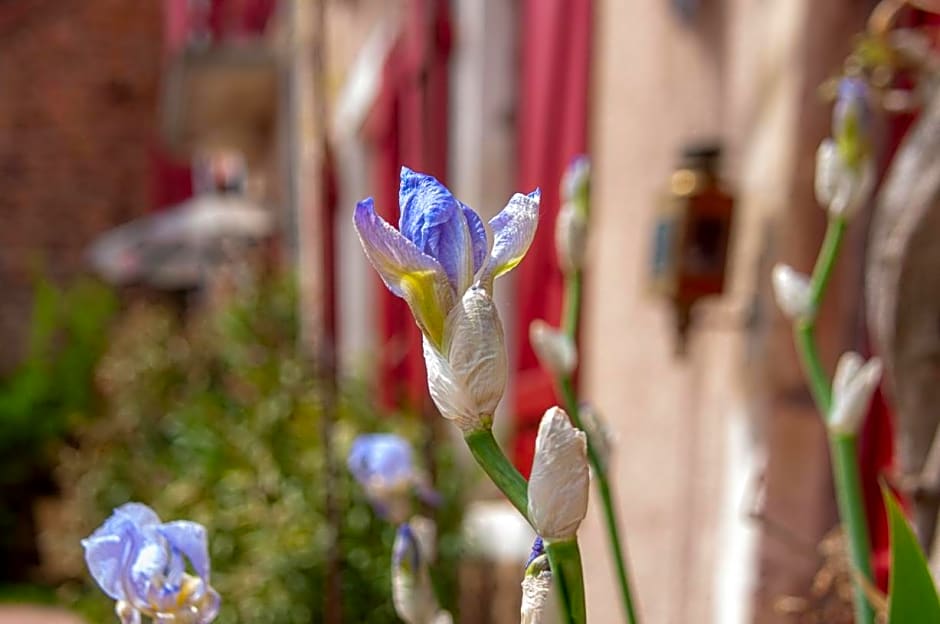 Au Puy Des Vérités