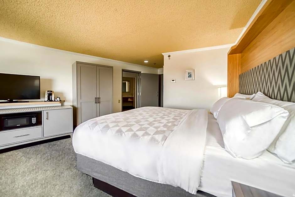 Holiday Inn Mobile-Dwtn/Hist. District By IHG