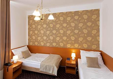 Twin Room with Bathroom