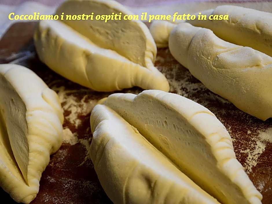 9 Muse Bed and Breakfast