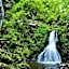 Landhotel Tanneneck - ideal fur Gruppen, Familien und Hunde