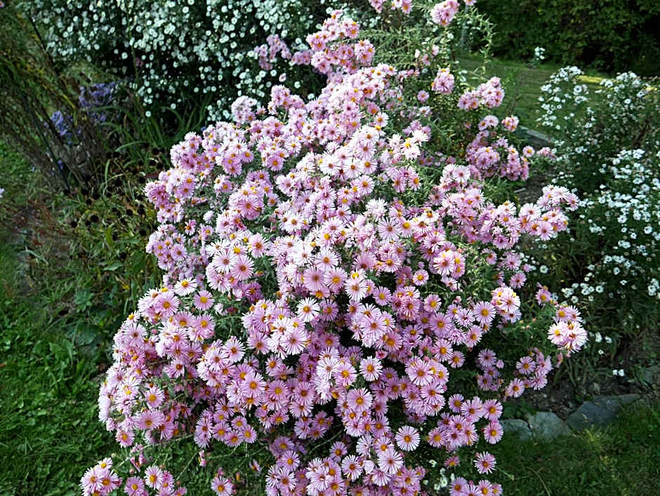 Hotel Garni Höchschmied