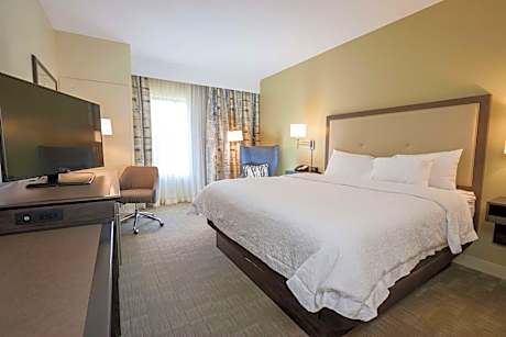 Suite Accessible King Size Bed