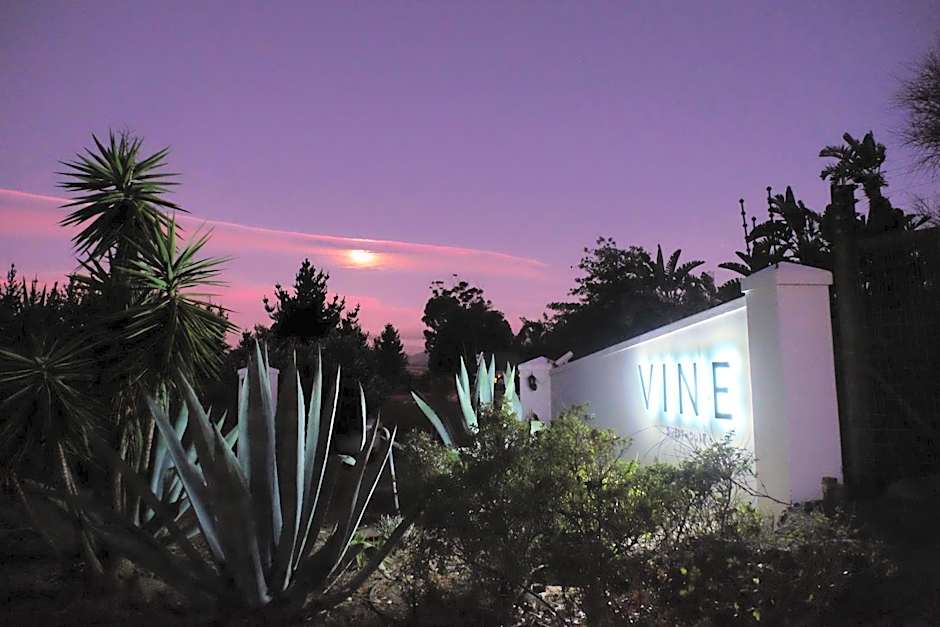 Vine Guesthouse
