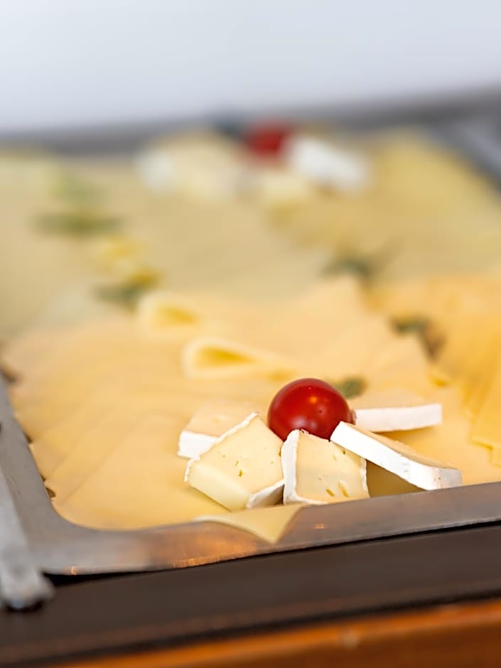 HB1 Schönbrunn Budget & Design