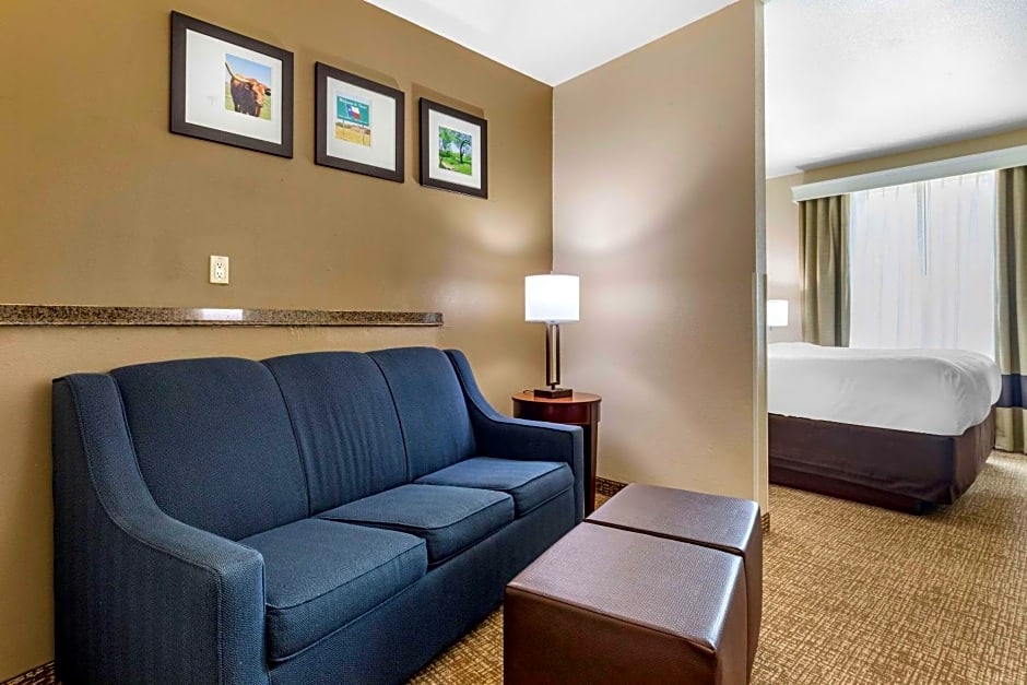 Comfort Suites Plano - Dallas North