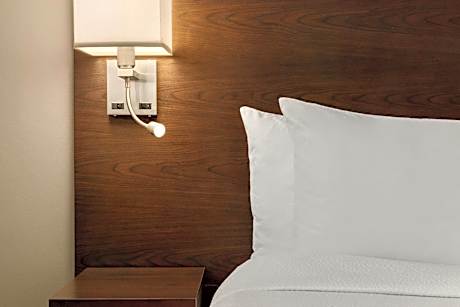 1 Bedroom Suite, 1 King, Non-Private Sofa bed