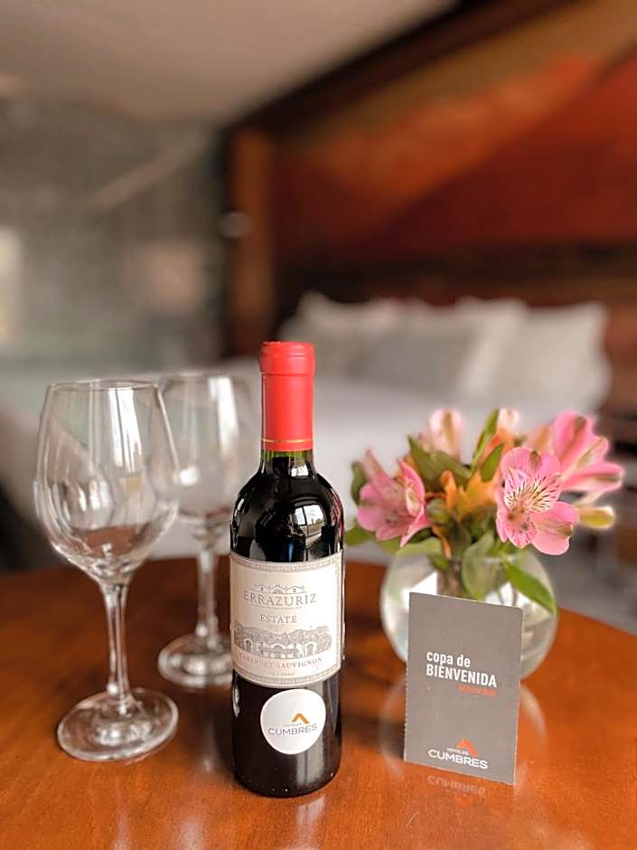 Hotel Cumbres Lastarria