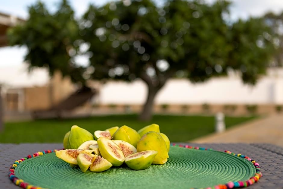 B&B Domus Terra Mare