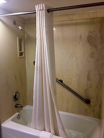 Single Room - Disability Access