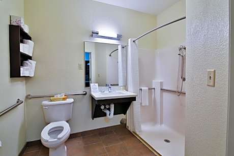 One-Bedroom King Suite with Sofa Bed