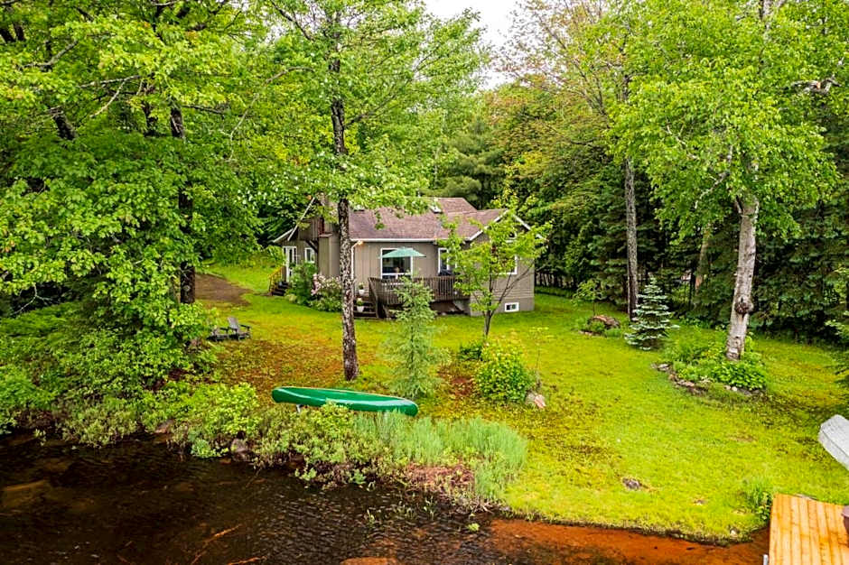 Bear Essentials Hideaway