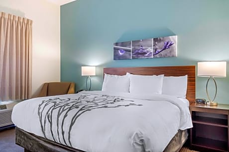 1 King Bed, No Smoking, Accessible Room