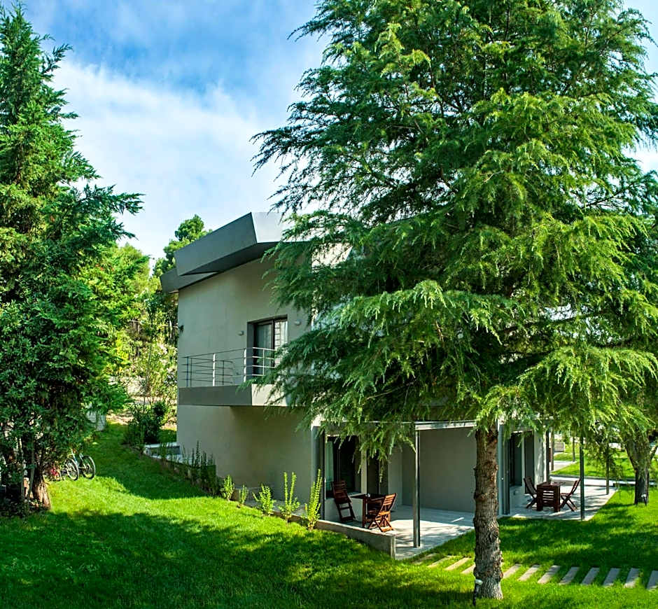 Sani More & Sani Woods