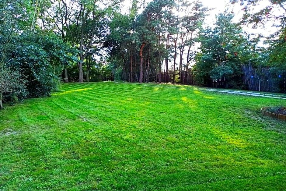 Dom imprezowy z noclegami Dziecinów