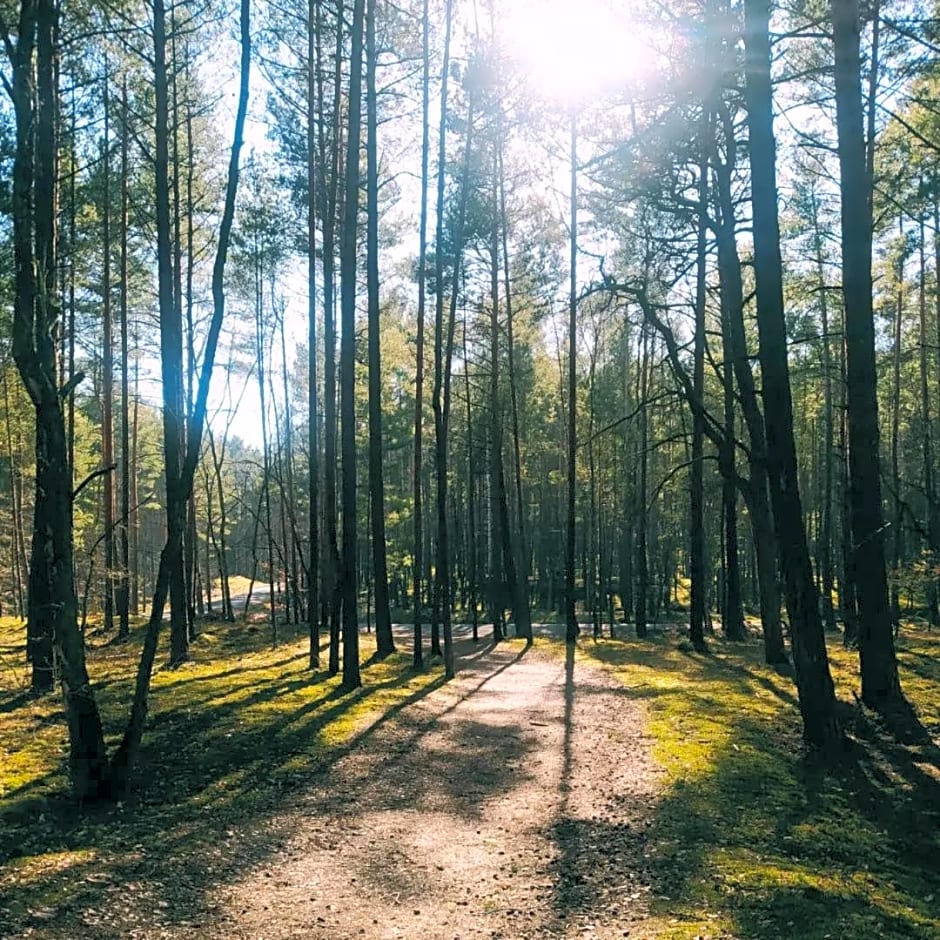 Wios¿ówka - domek nad morzem