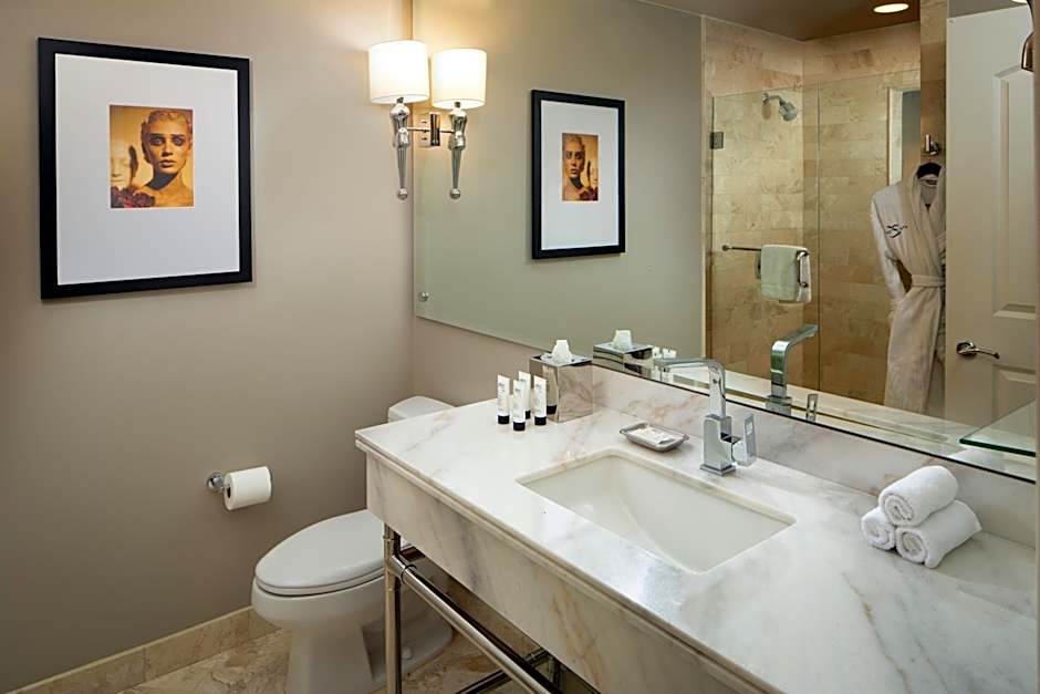 Hotel ZaZa Dallas