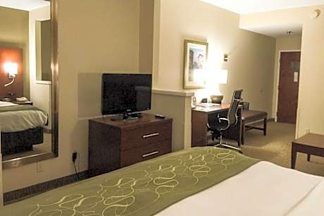 1 Bedroom Suite