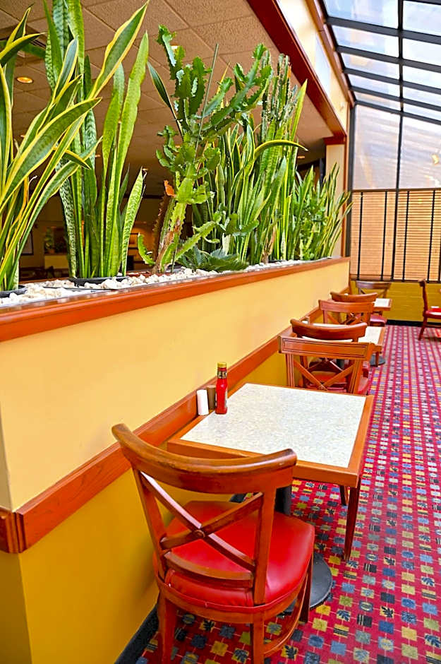 MCM Elegante Hotel & Suites Lubbock