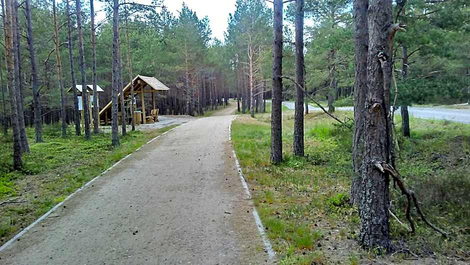 Domki Letniskowe Zygmunt