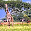 Caracal Lodge
