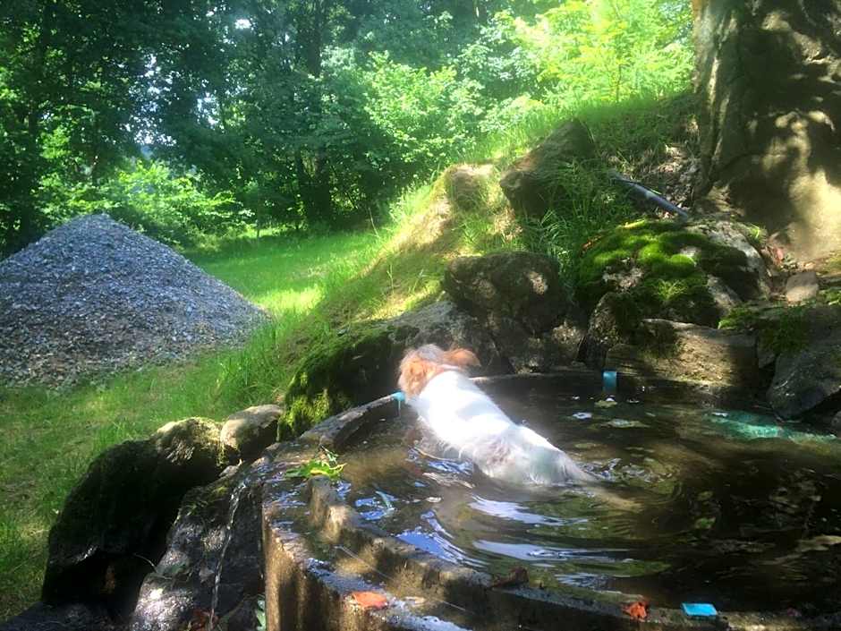 Horský Hotel Kolowrat