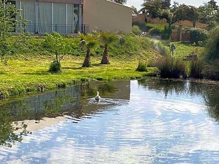 complejo rural el prado