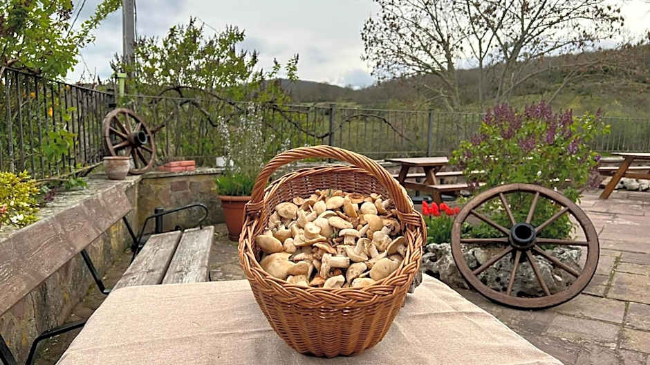 La Posada Del Santuario