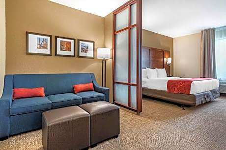 1 King Bed  Suite  No Smoking  Accessible Room