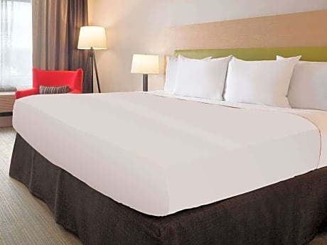 1 King Bed With Sofabed