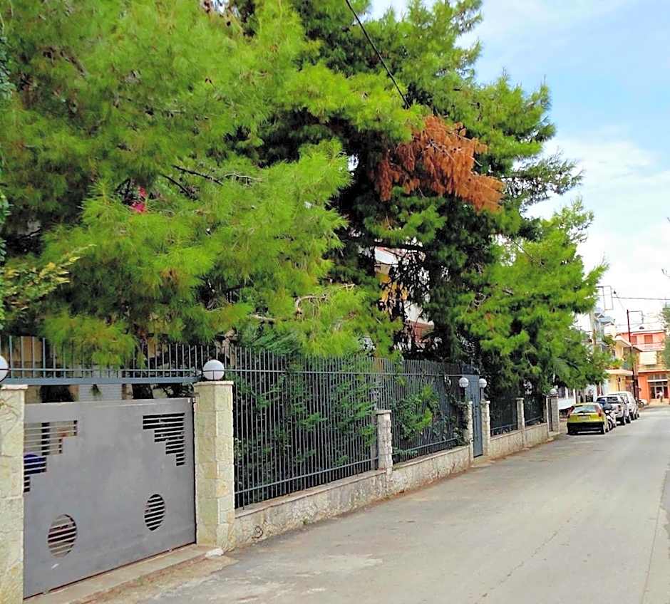 Vacations in Patra Studios