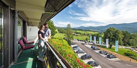 Panoramic Double Room