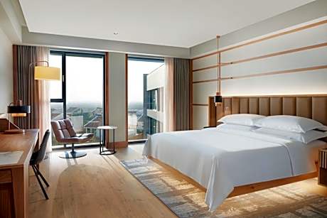 Premium, Guest room, 1 King
