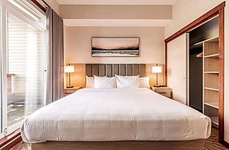 Deluxe One-Bedroom Apartment