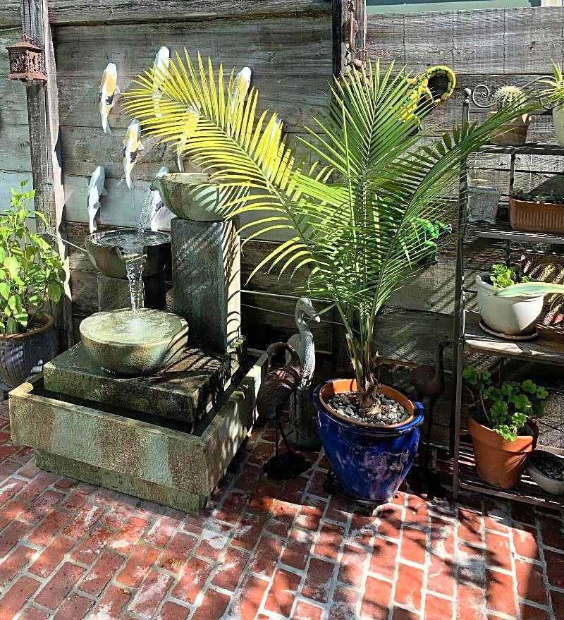 B&W Courtyards