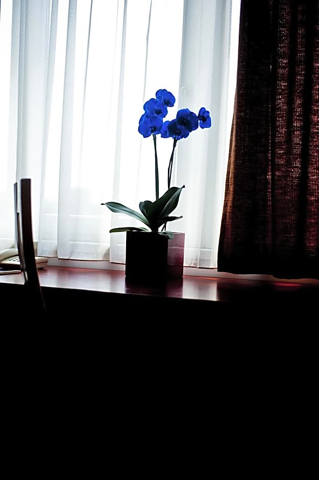 Canada Hotel Budapest