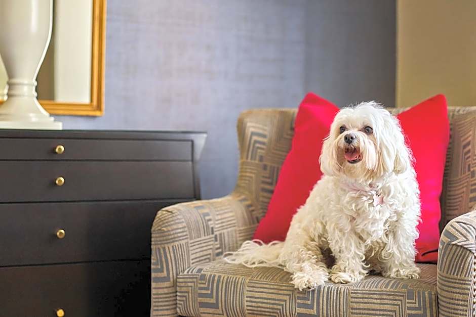 The Brown Palace Hotel and Spa, Autograph Collection