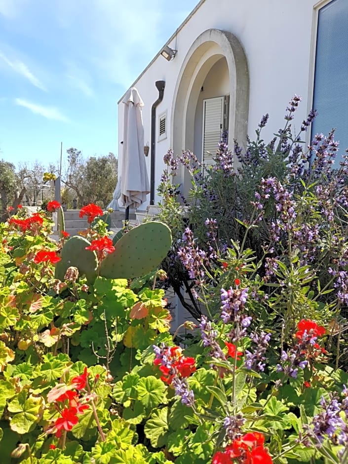 Tenuta Valle dell Idro Otranto