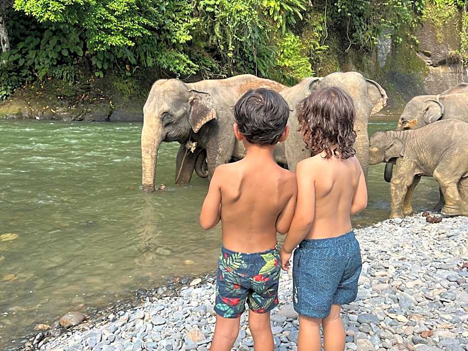 Gino's Place - Guest House & Jungle Trekking