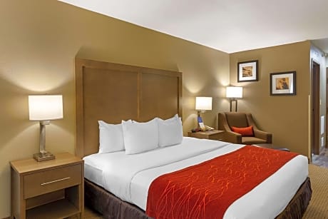 1 King Bed Nonsmoking Accessible