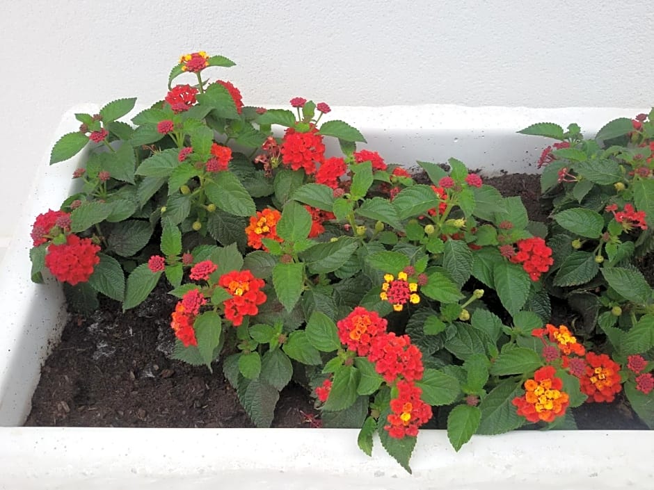 Blu Salentino b&b con Parcheggio Privato Gratuito