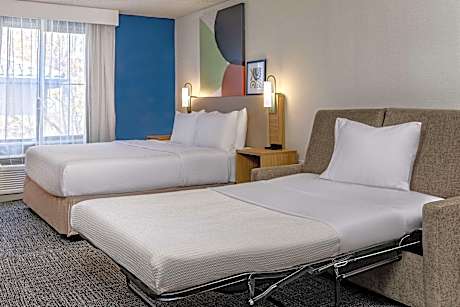 1 King Mobility Accessible Bathtub W/Sofabed