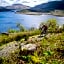 Uircheann Righ