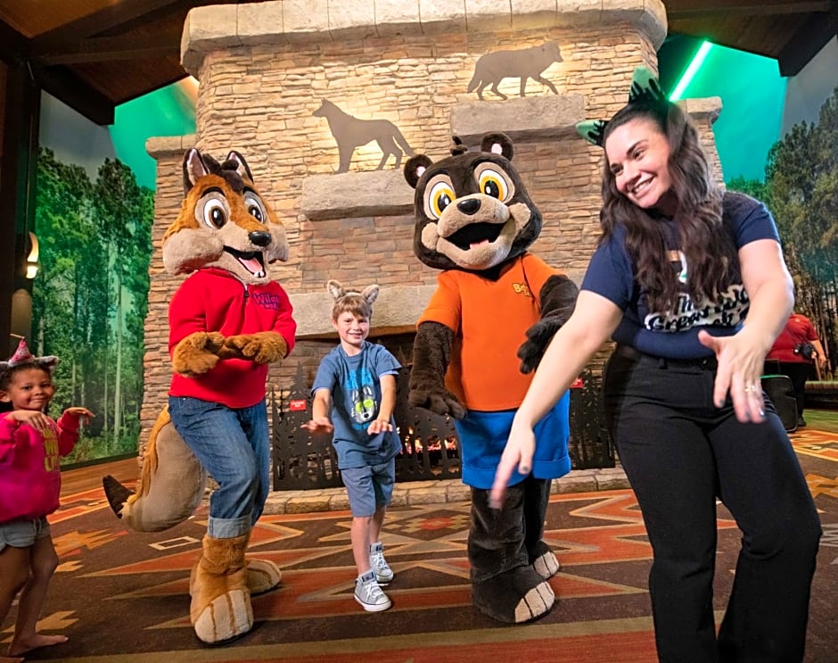 Great Wolf Lodge Wisconsin Dells