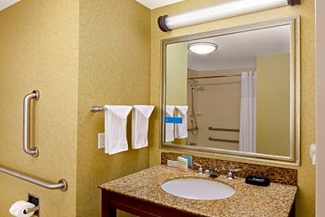 1 King Studio Ste Shower Only Nosmoke