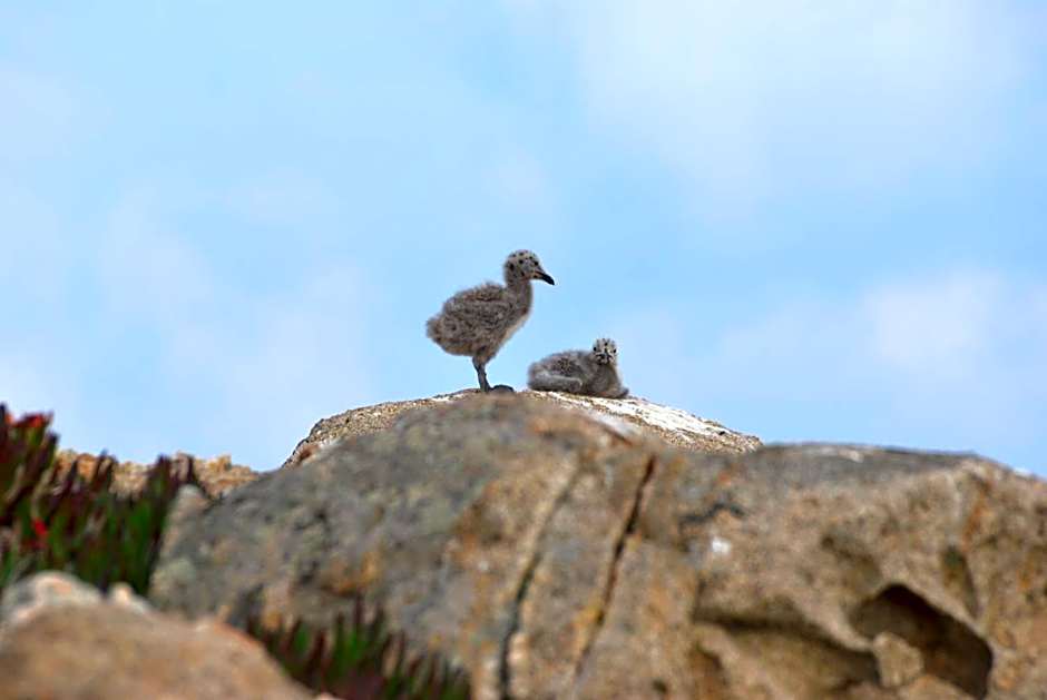 Hotel Giardino delle Palme