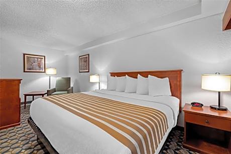 Best Western Vista Inn At The Airport