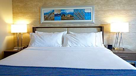 1 King Bed Standard Communication Accessible