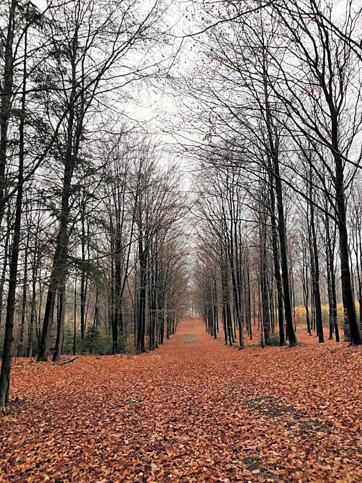 Ferme de la Petite Fagne
